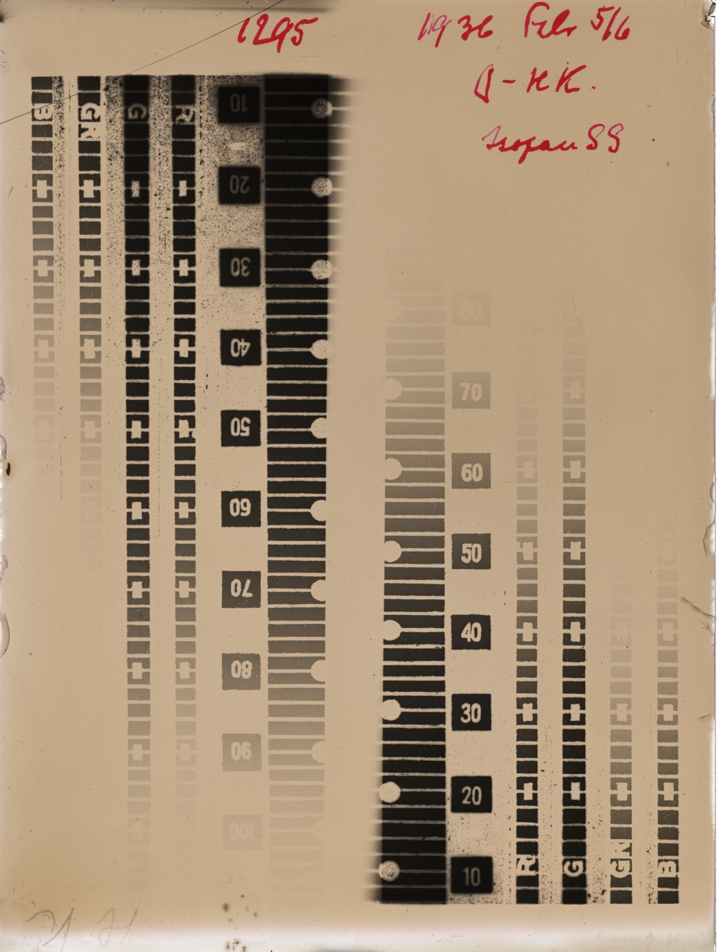 Scan GR01295