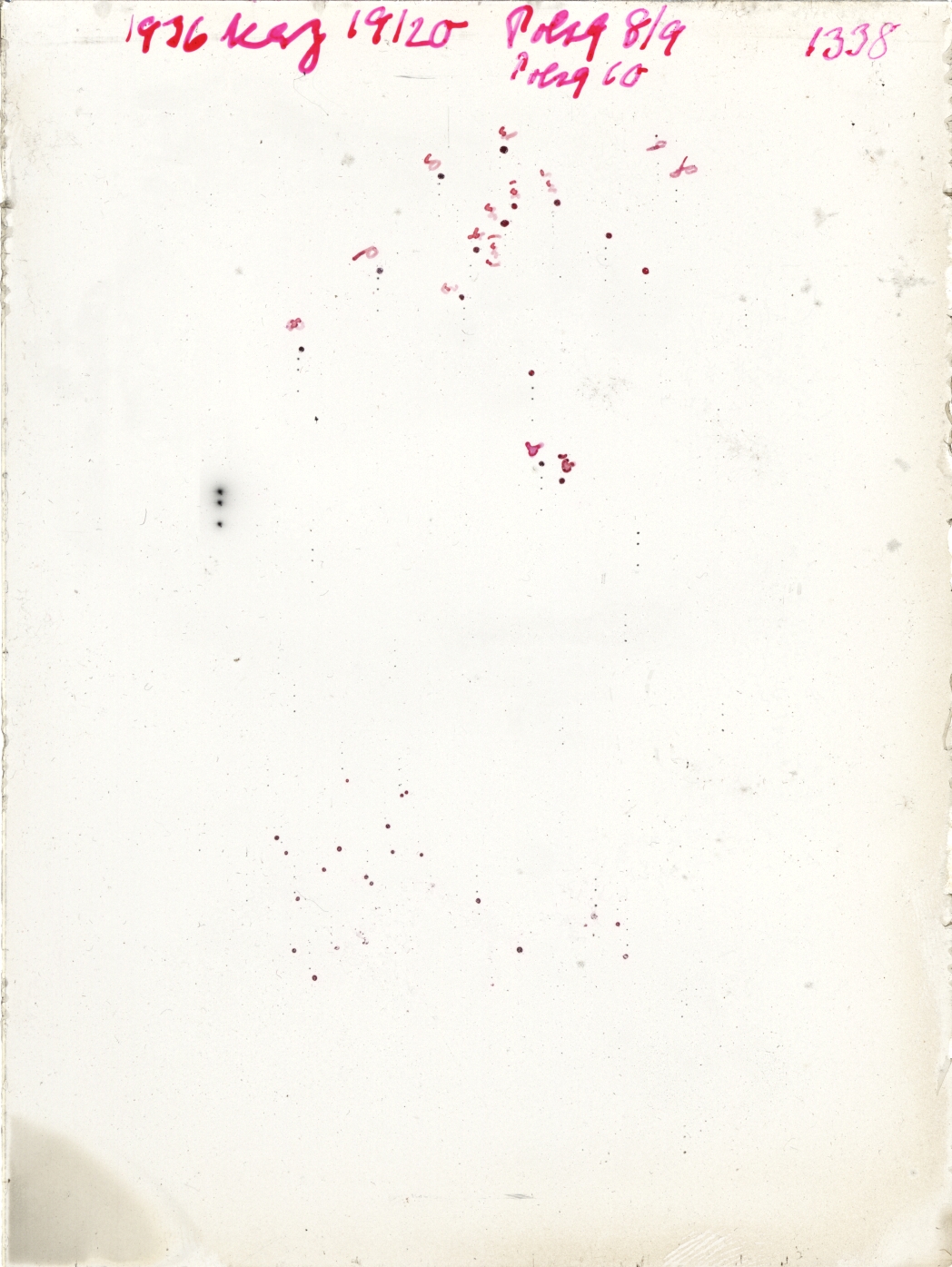 Scan GR01338