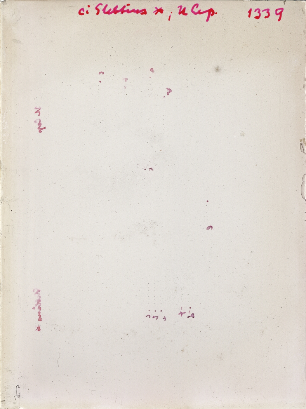 Scan GR01339