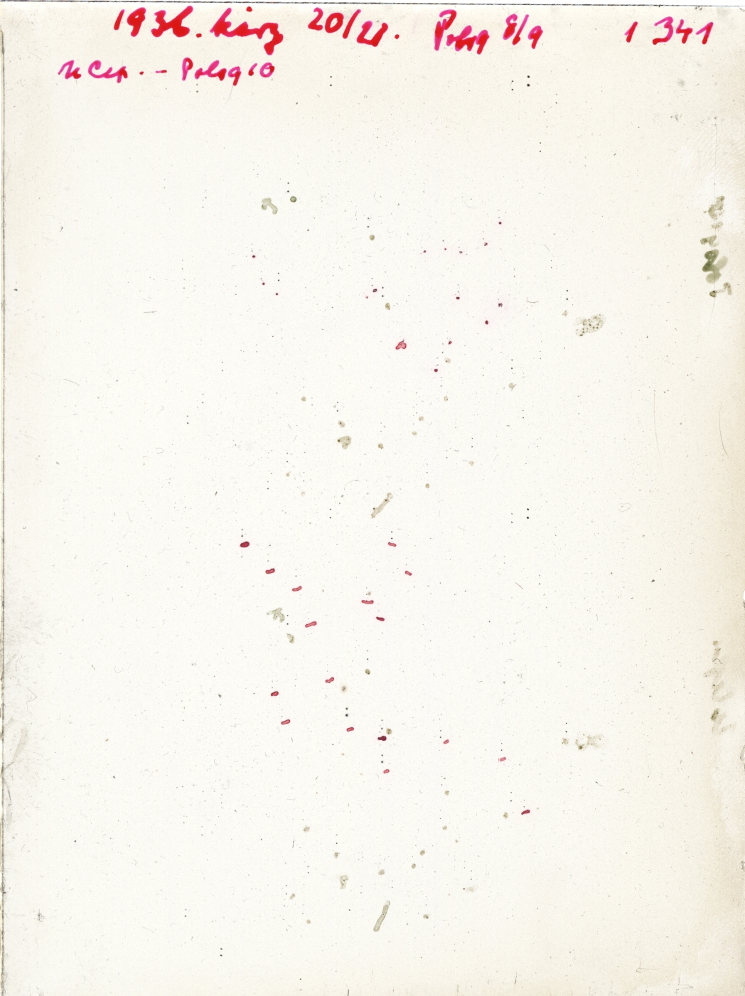 Scan GR01341