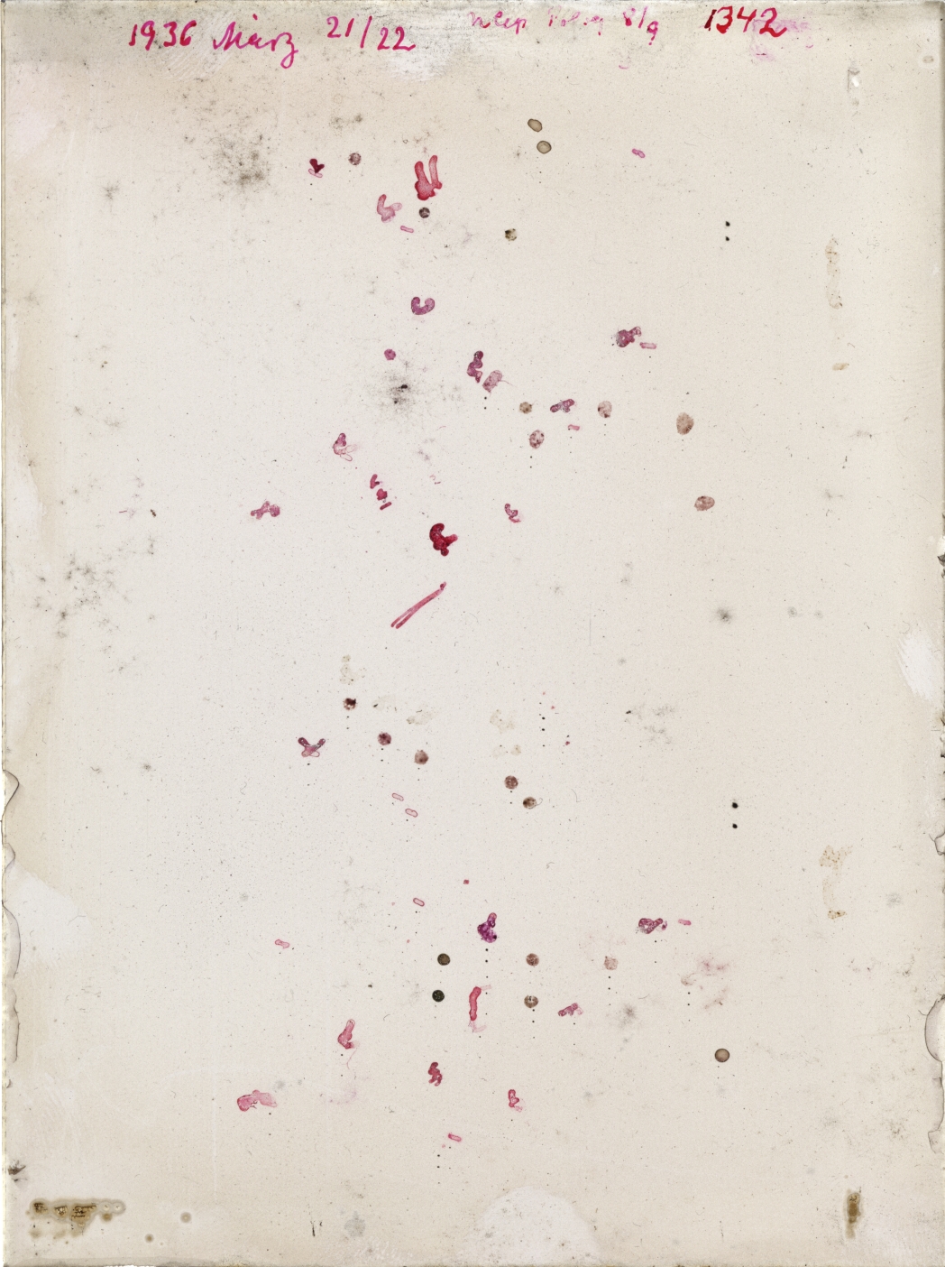 Scan GR01342