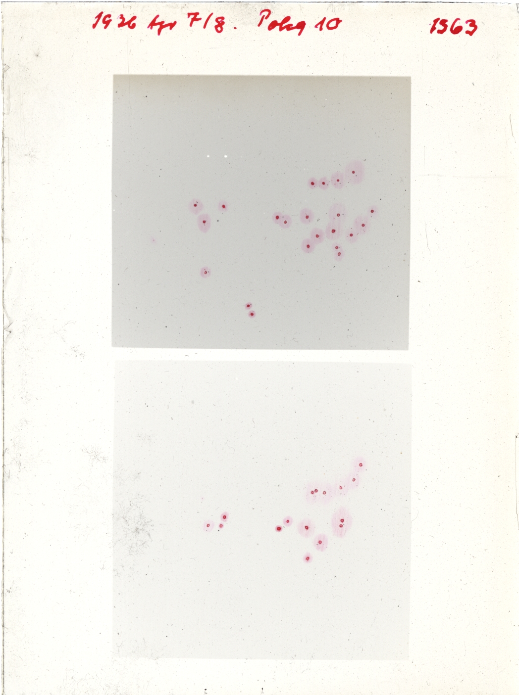 Scan GR01363