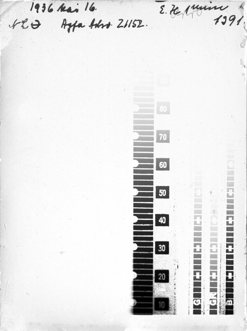 Scan GR01391