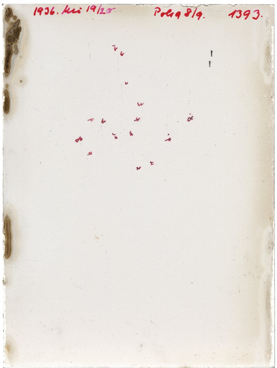 Scan GR01393
