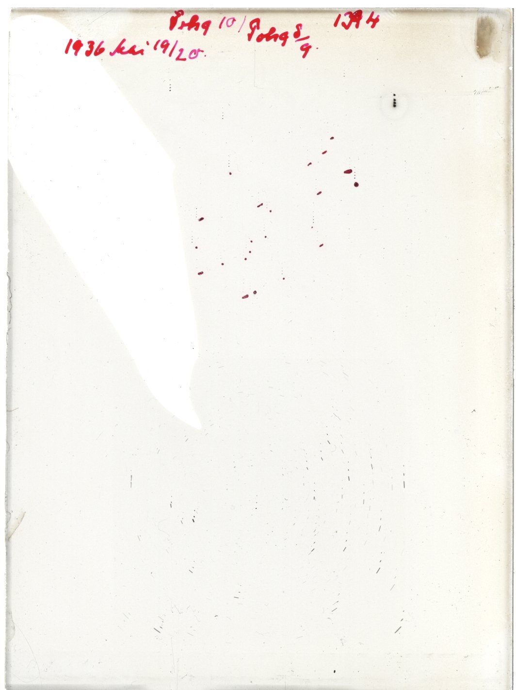 Scan GR01394