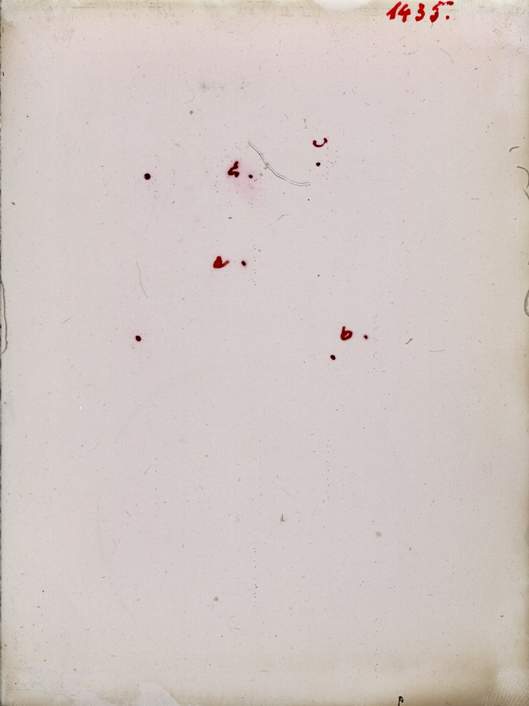 Scan GR01435