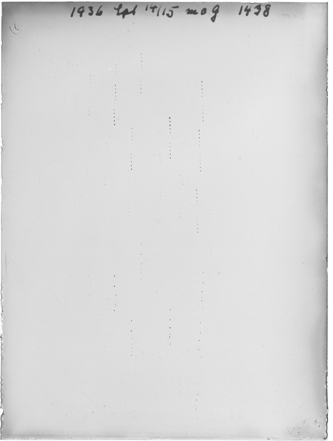 Scan GR01438