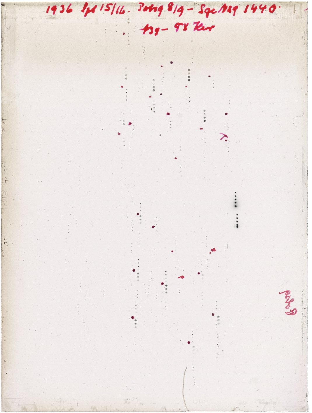 Scan GR01440