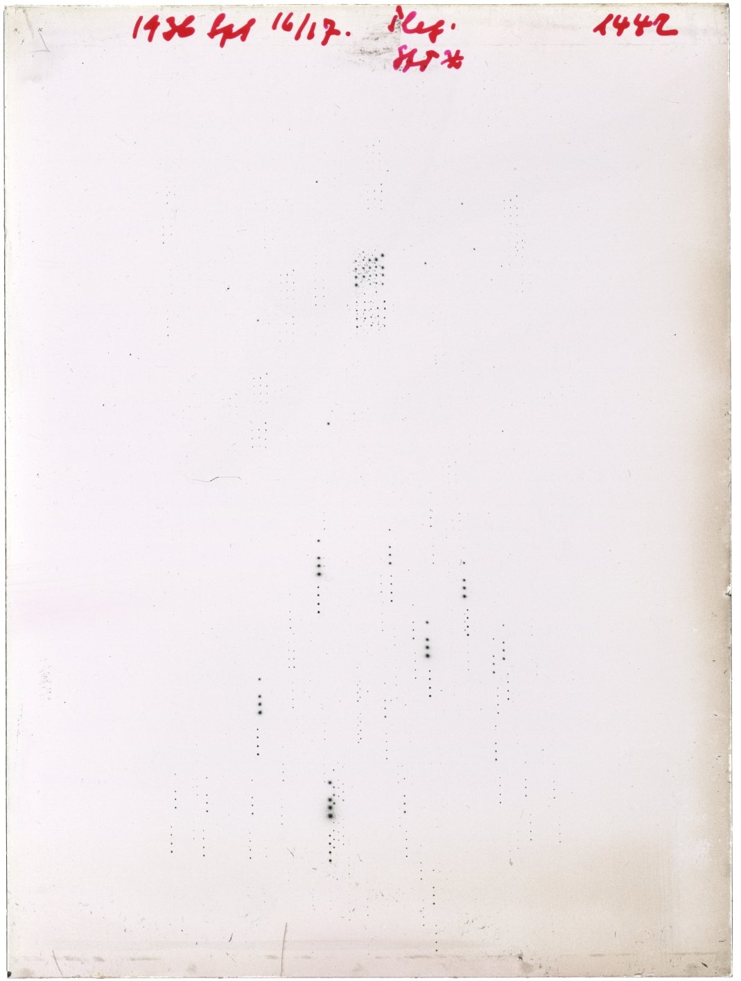 Scan GR01442