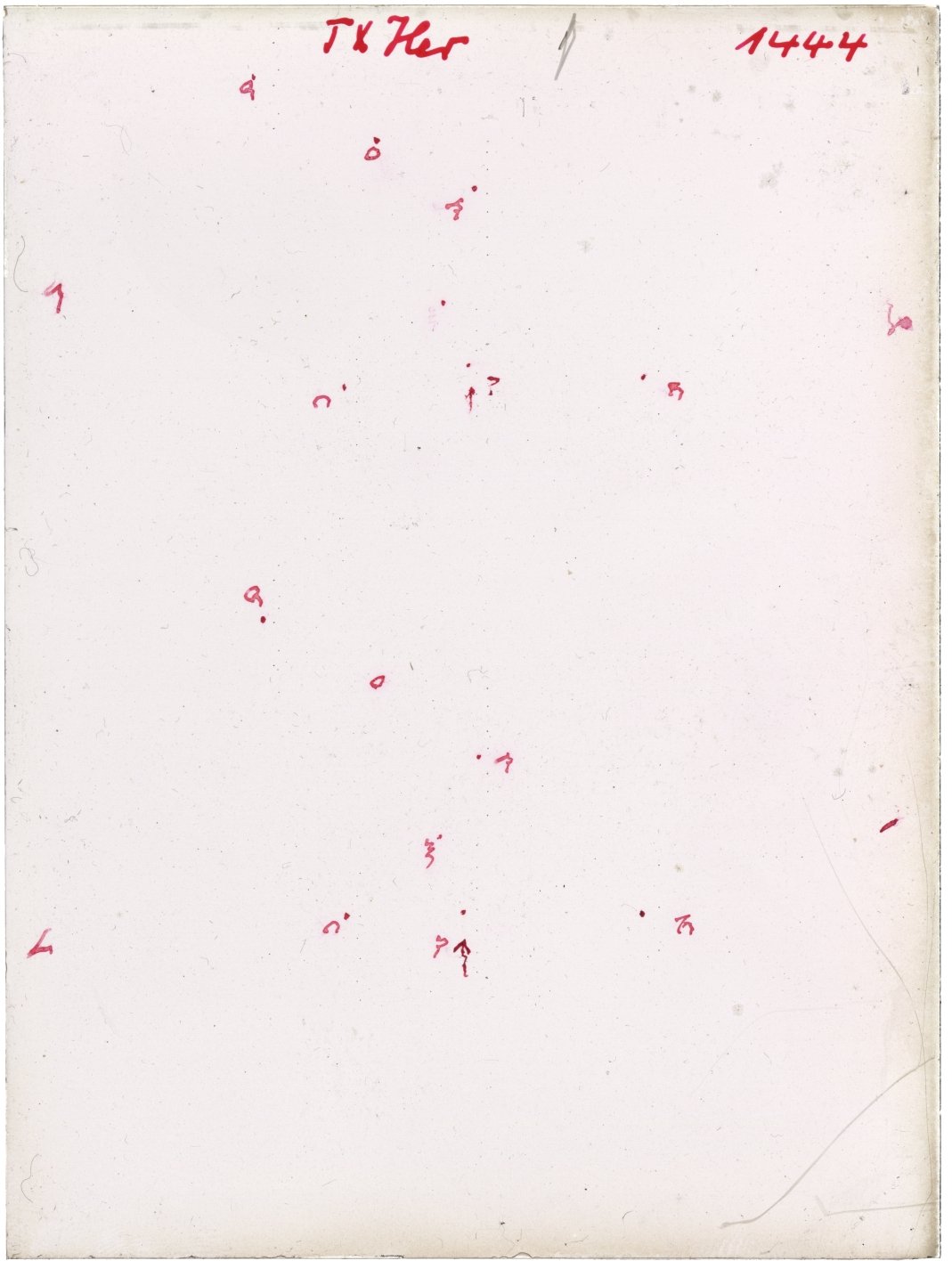Scan GR01444