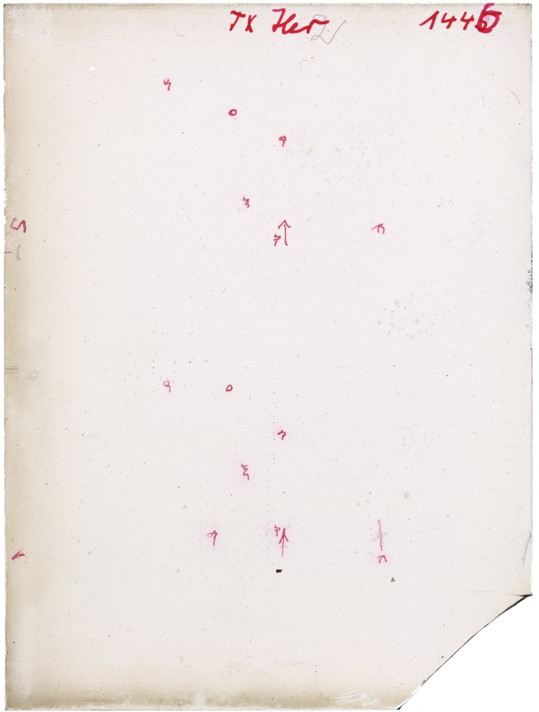 Scan GR01445