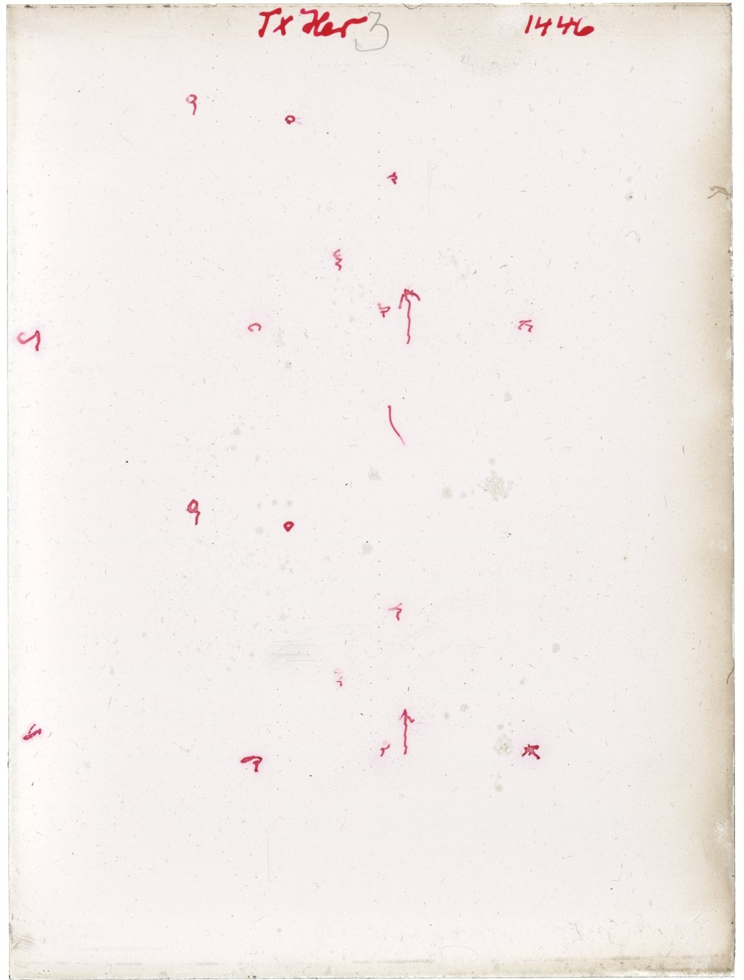 Scan GR01446