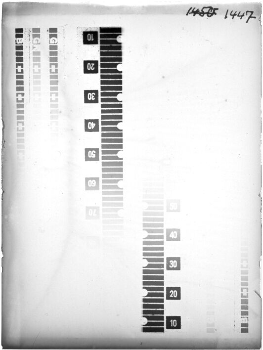 Scan GR01447
