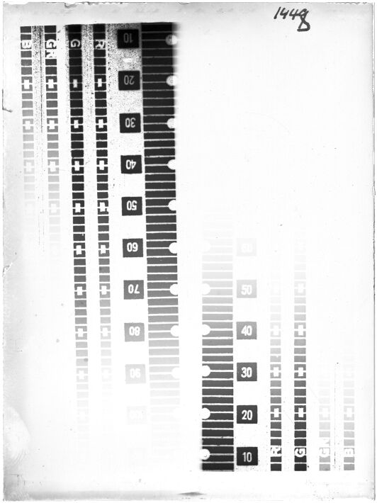 Scan GR01448