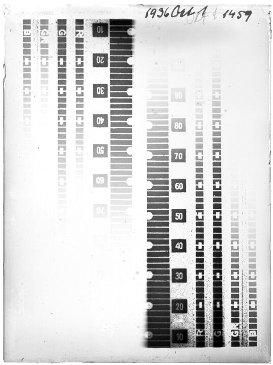 Scan GR01459