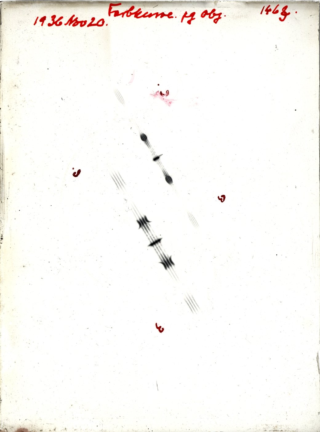 Scan GR01463