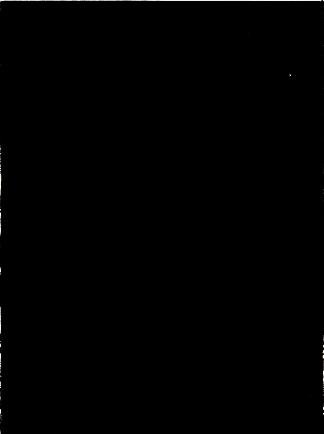 Scan GR01465