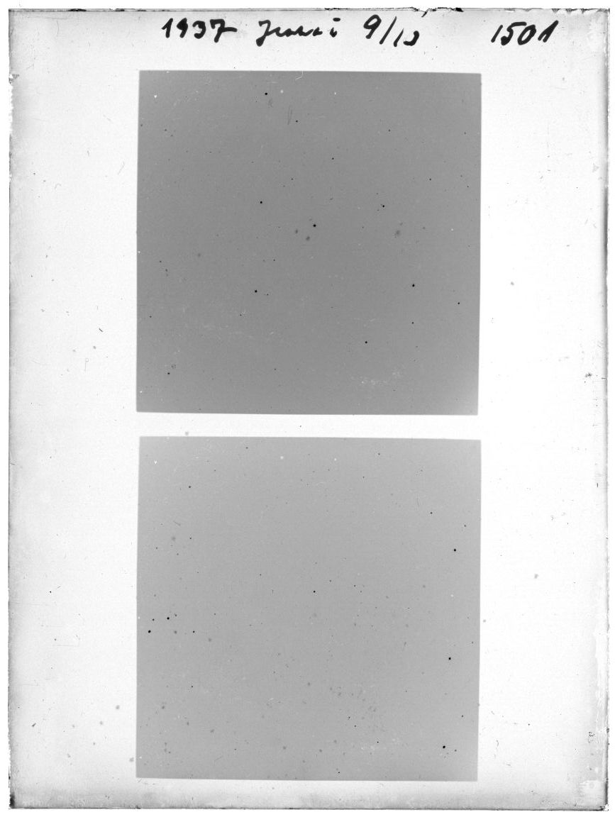 Scan GR01501