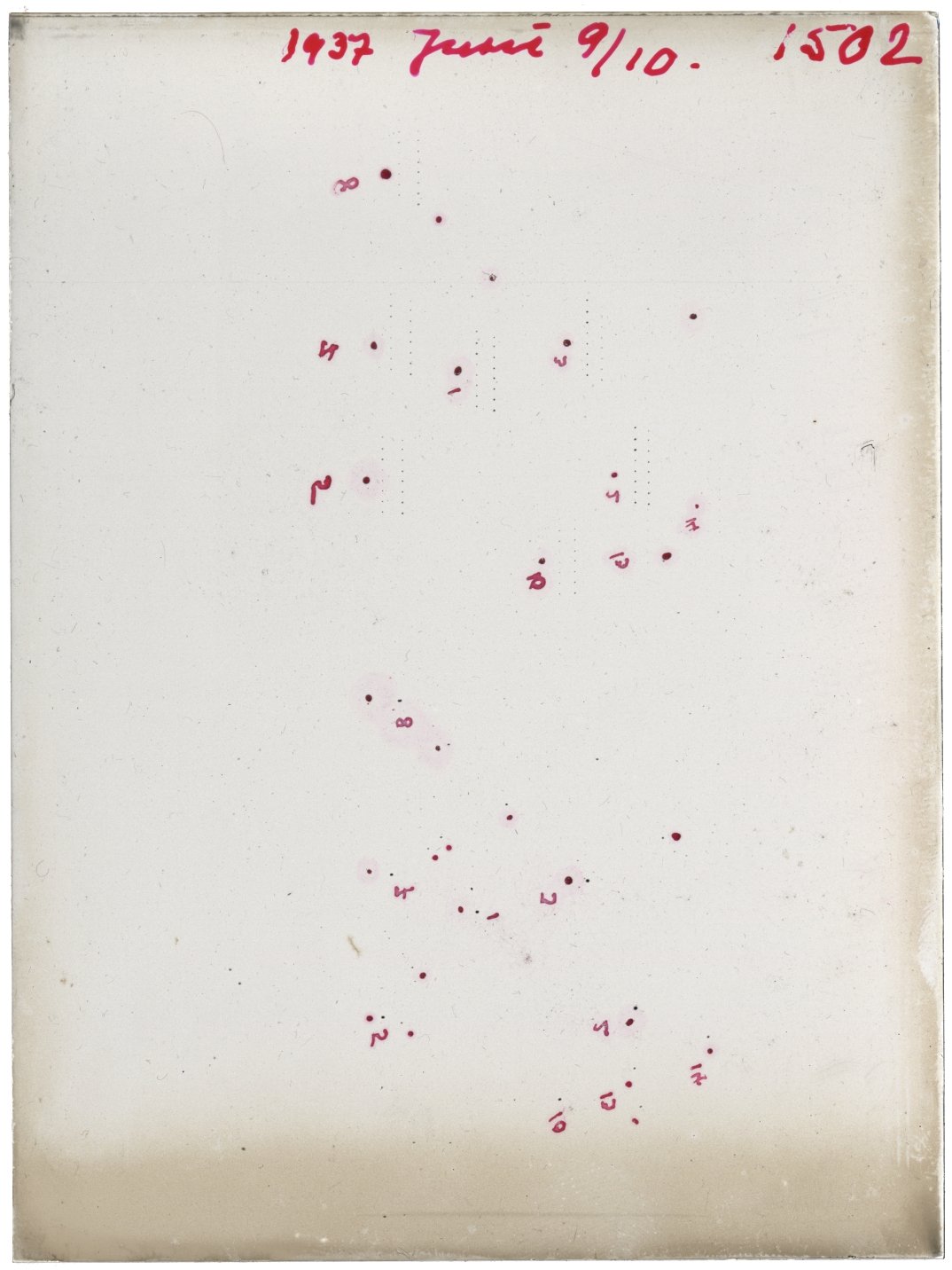 Scan GR01502
