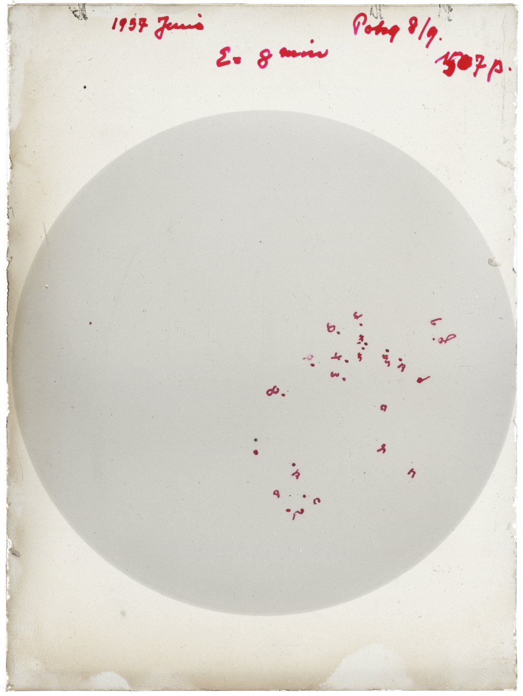 Scan GR01507p