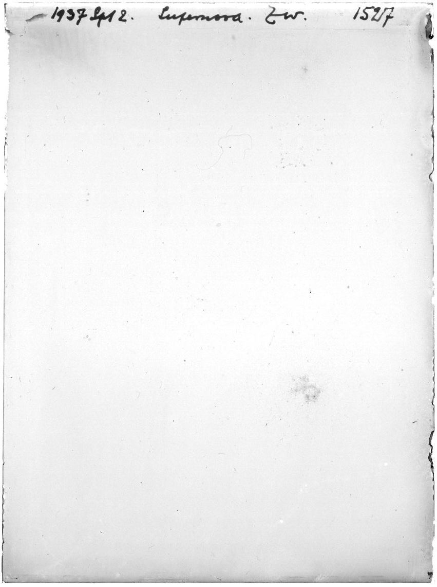 Scan GR01527