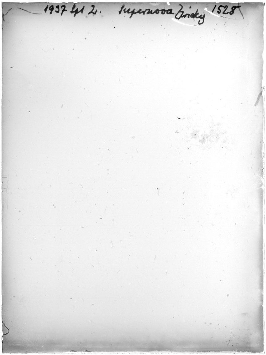 Scan GR01528