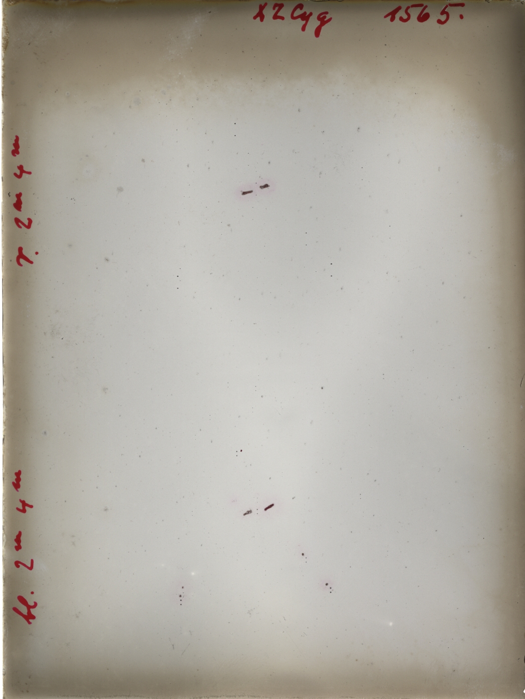 Scan GR01565
