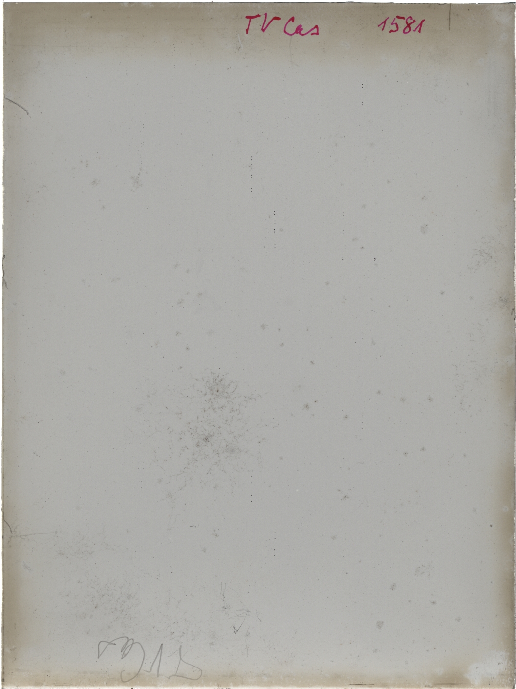 Scan GR01581
