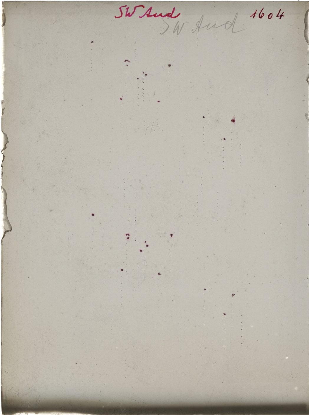 Scan GR01604