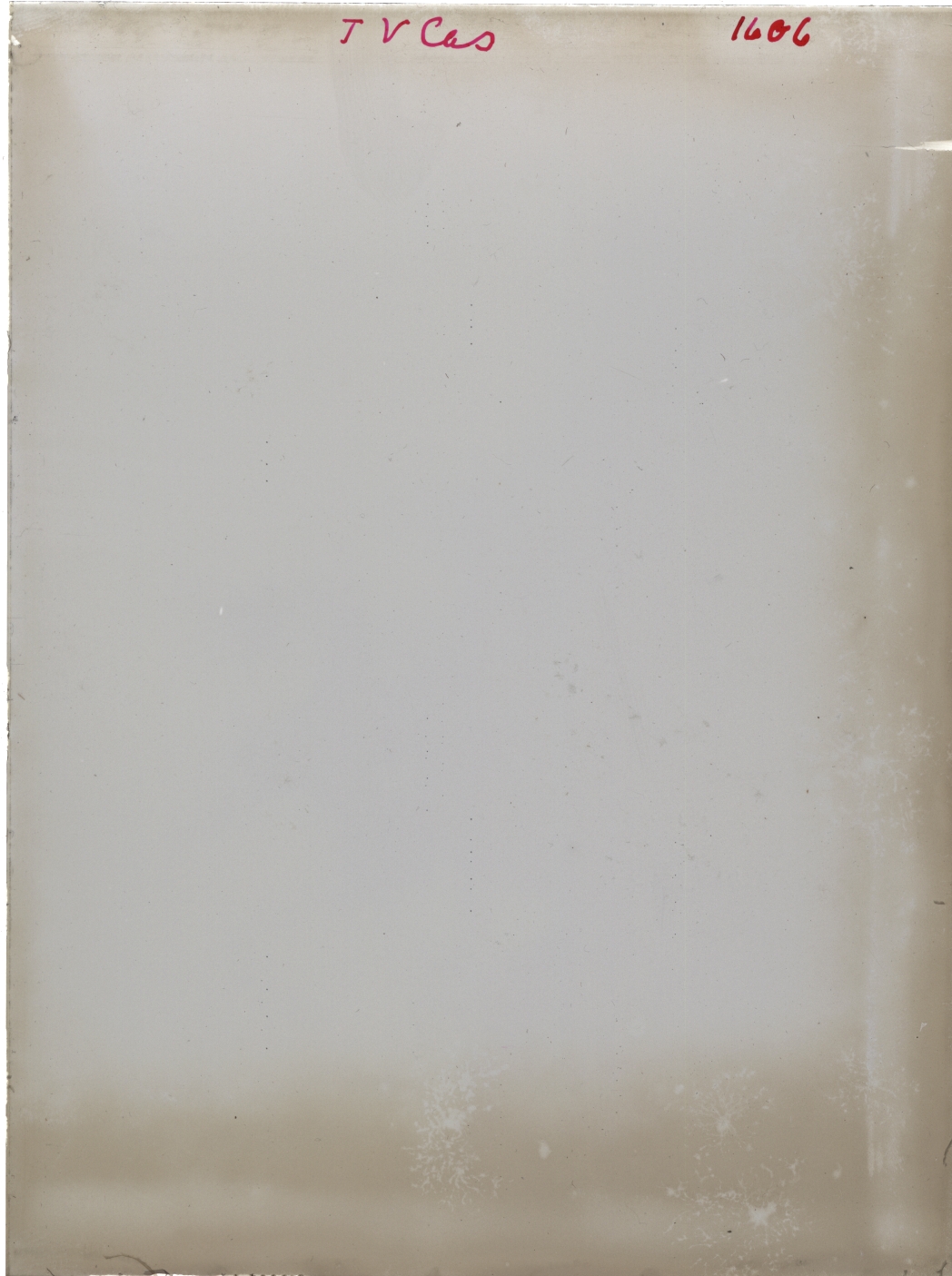 Scan GR01606