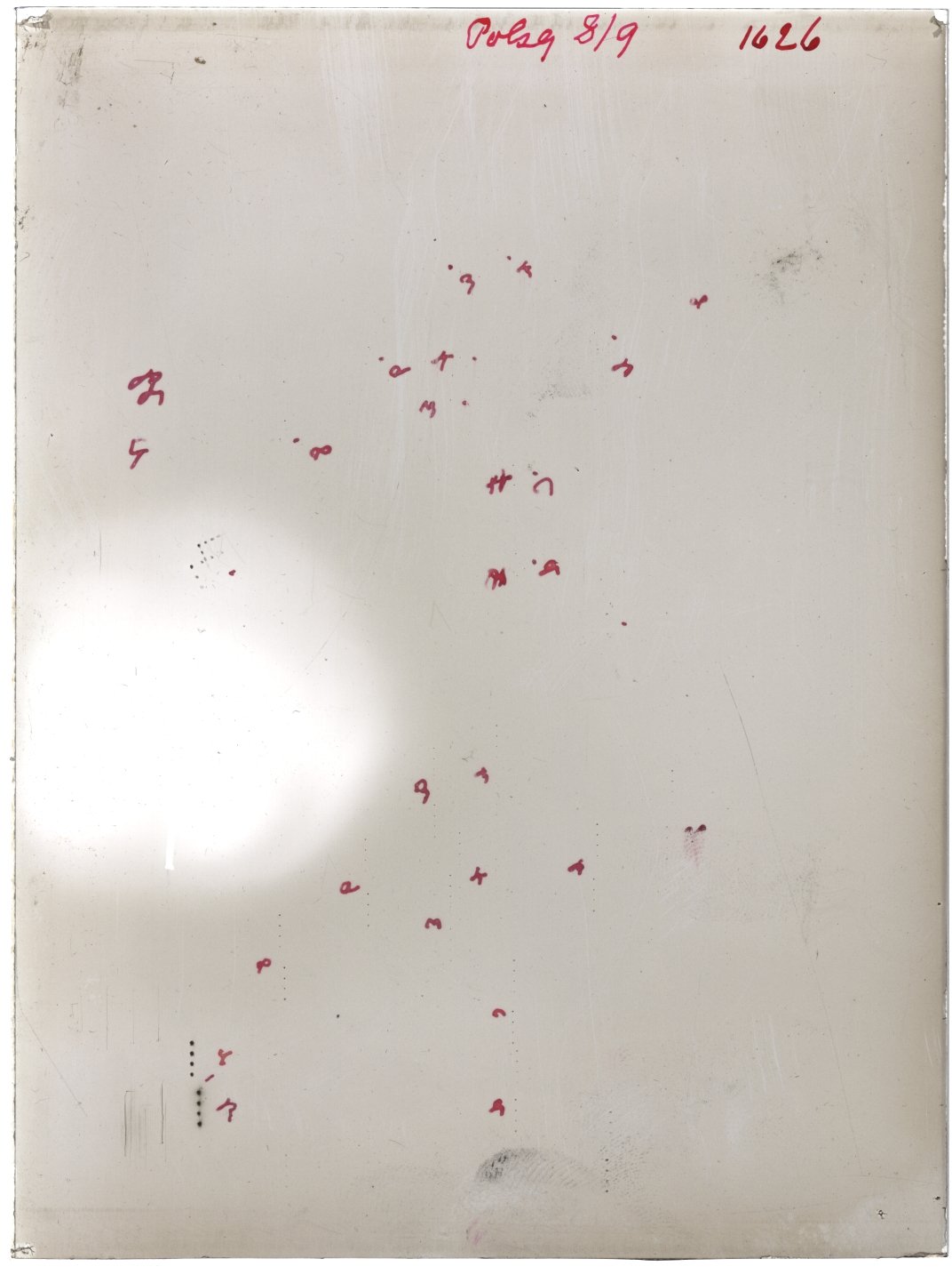 Scan GR01626