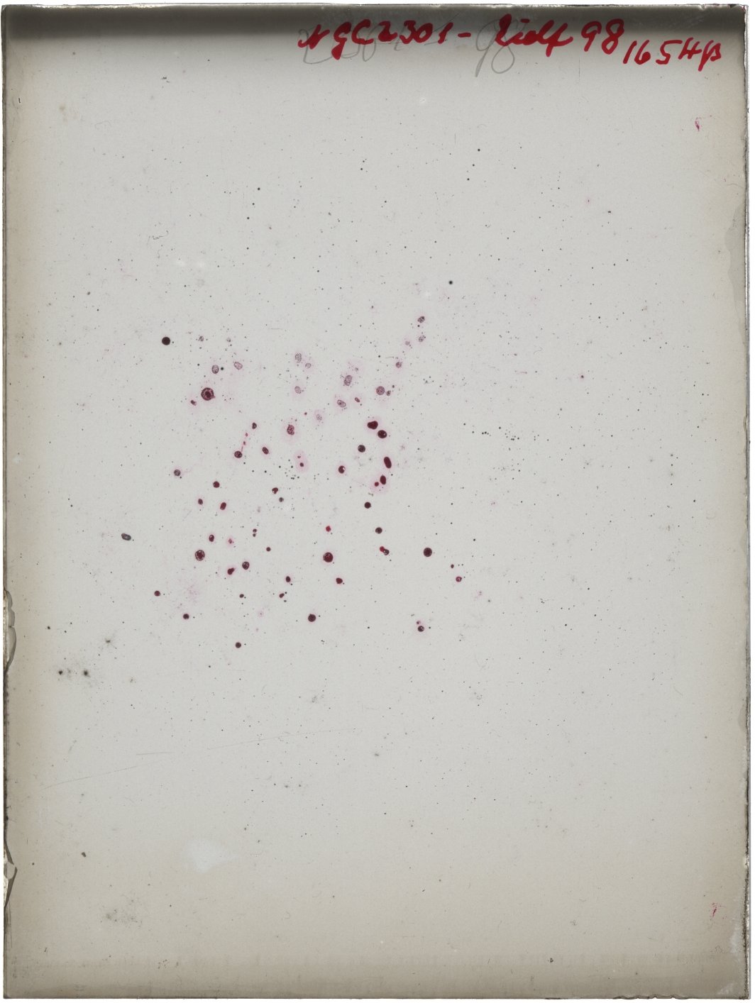 Scan GR01654p