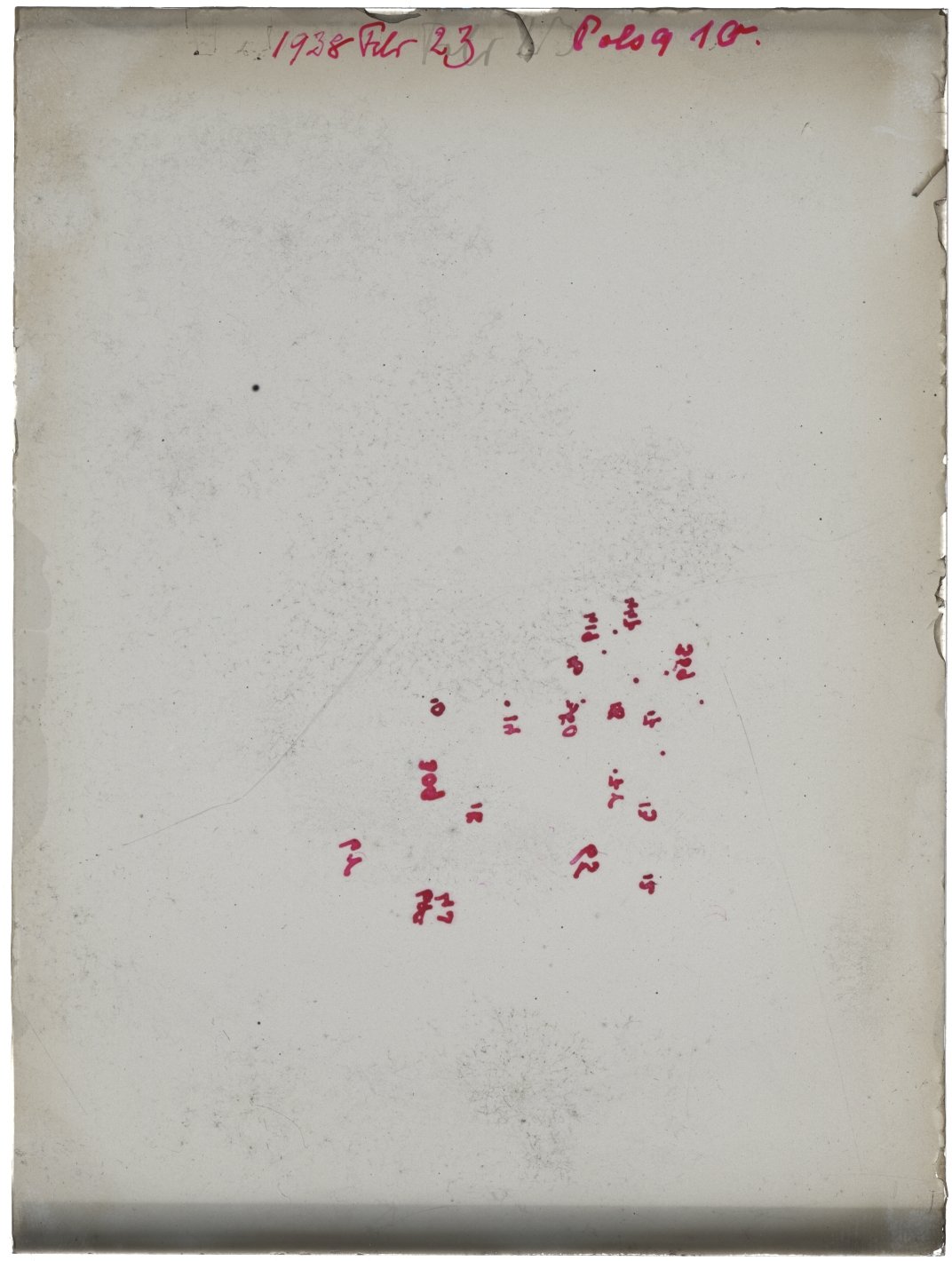 Scan GR01664p