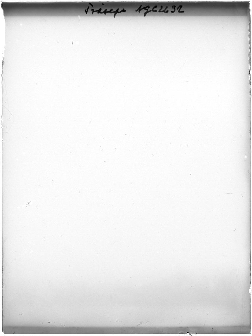 Scan GR01686