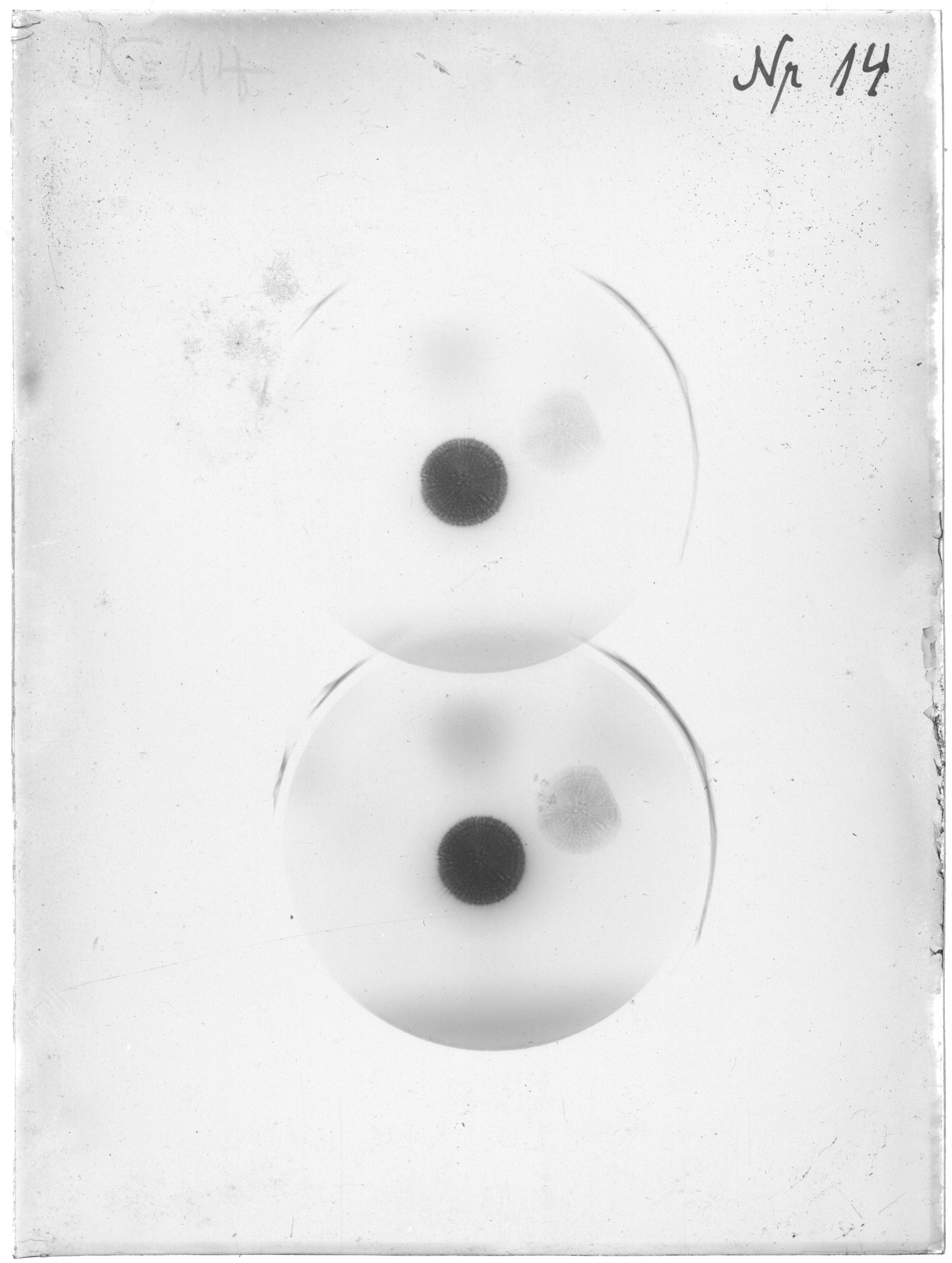 Scan GRBSa14