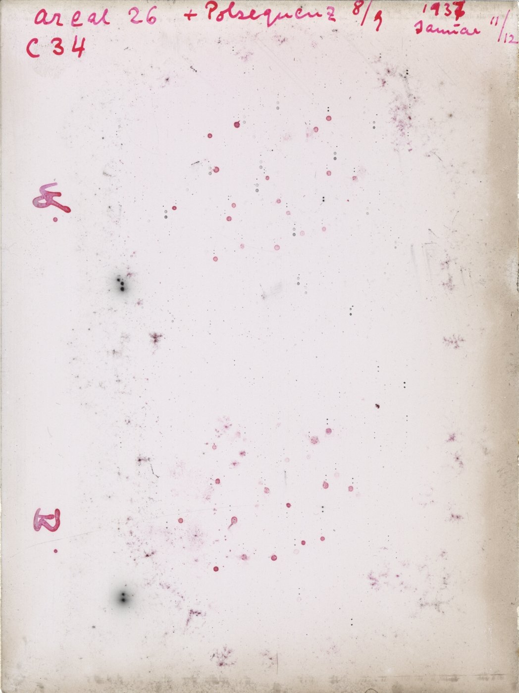 Scan GRC0034