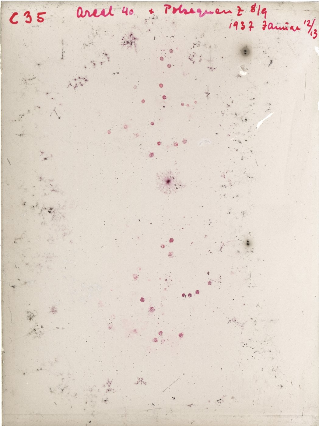 Scan GRC0035
