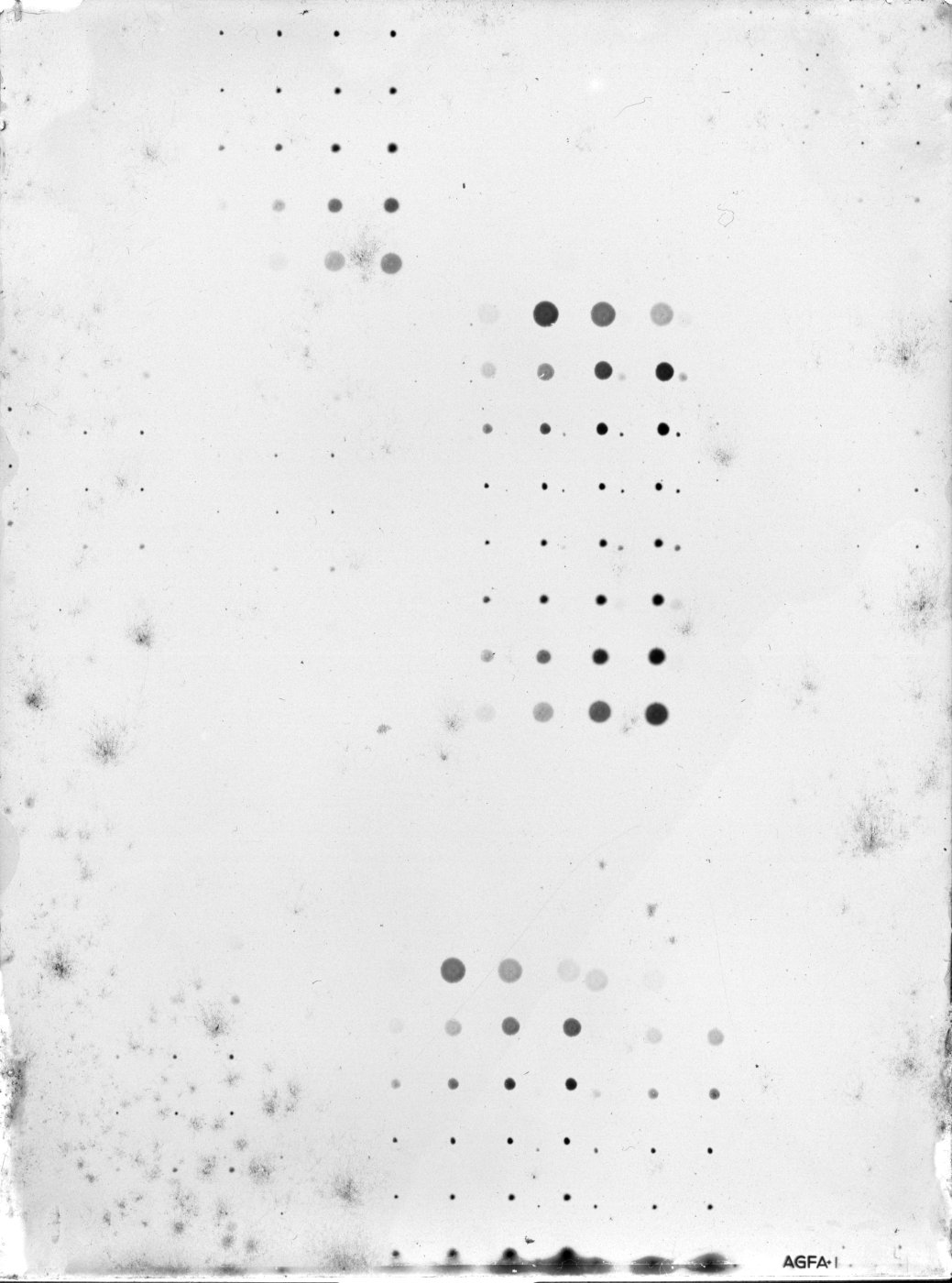 Scan GRb0006