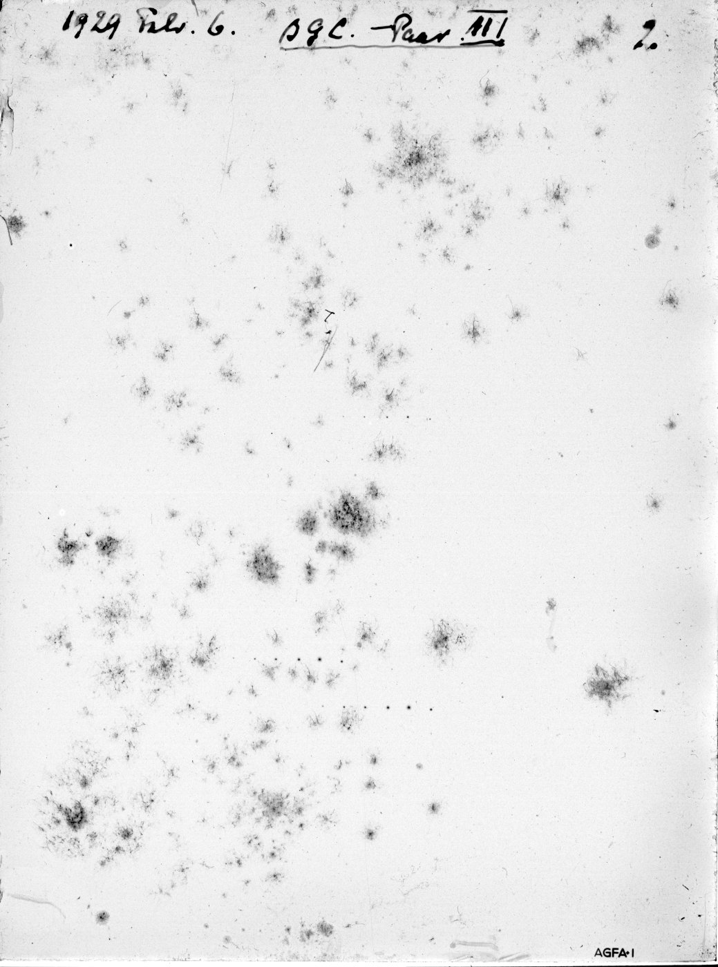 Scan GRd0002
