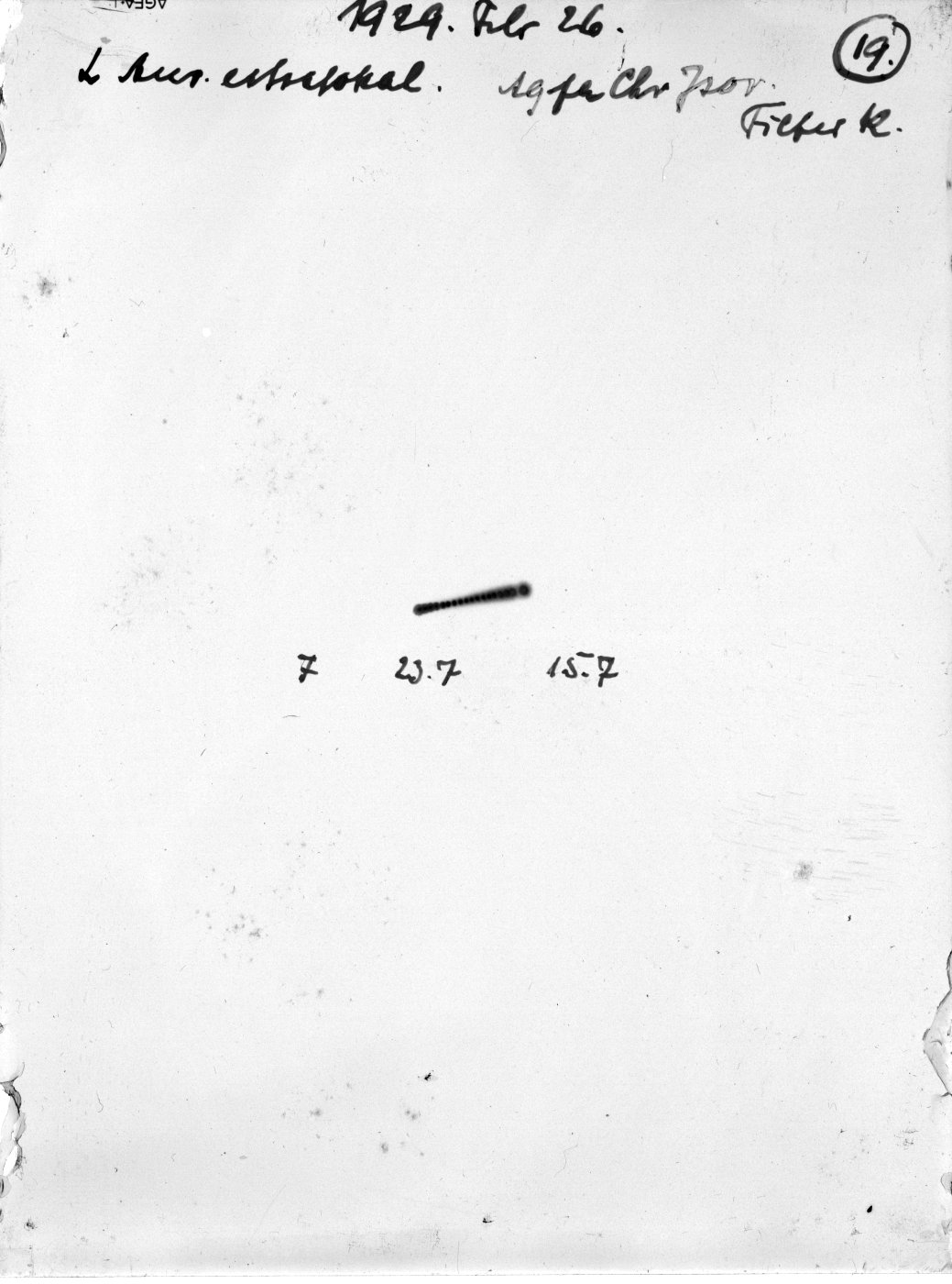 Scan GRd0019