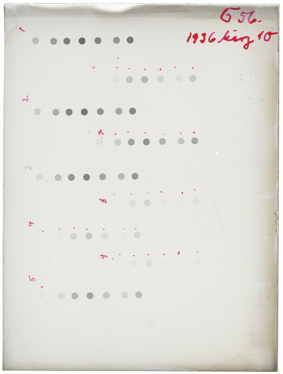 Scan GRsig56