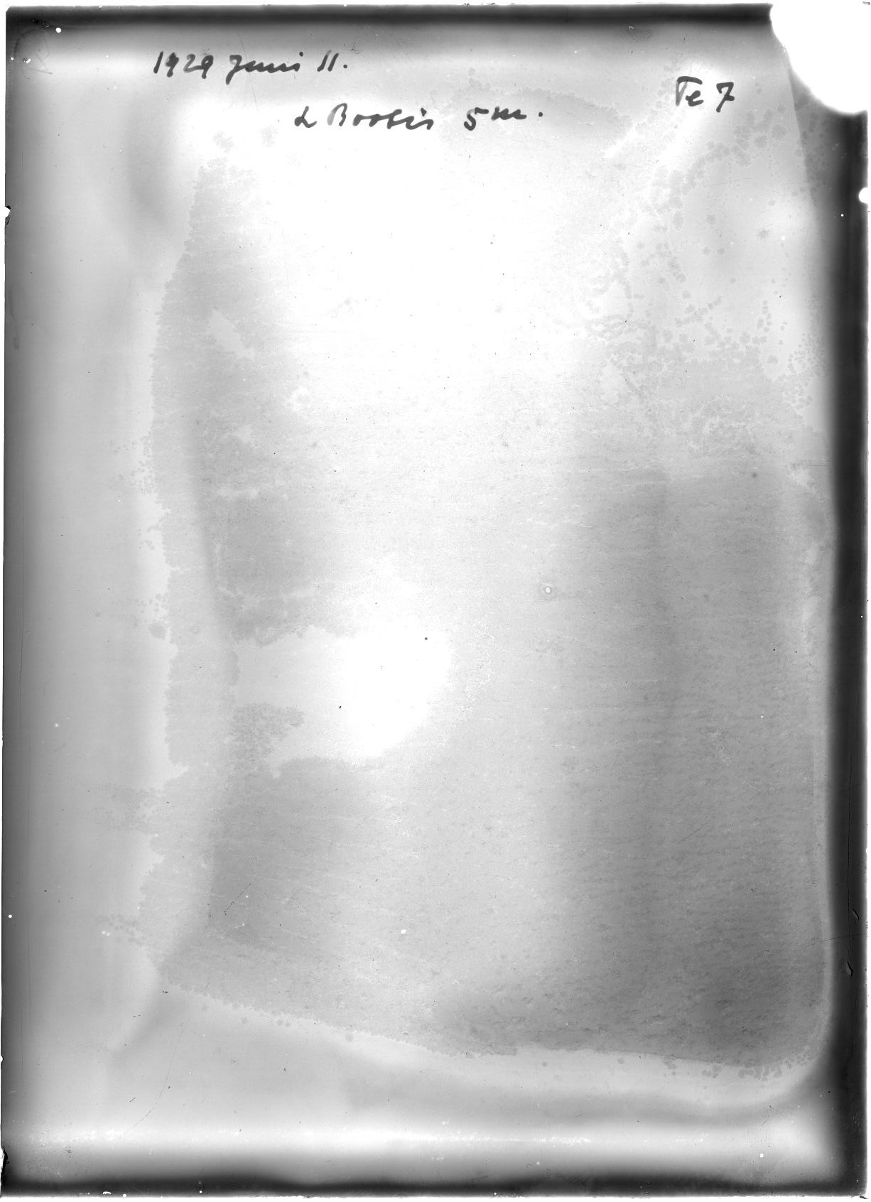 Scan GRTe007V