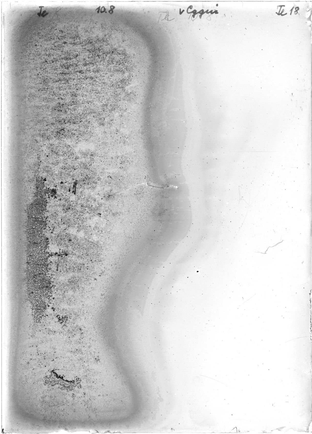 Scan GRTe018V