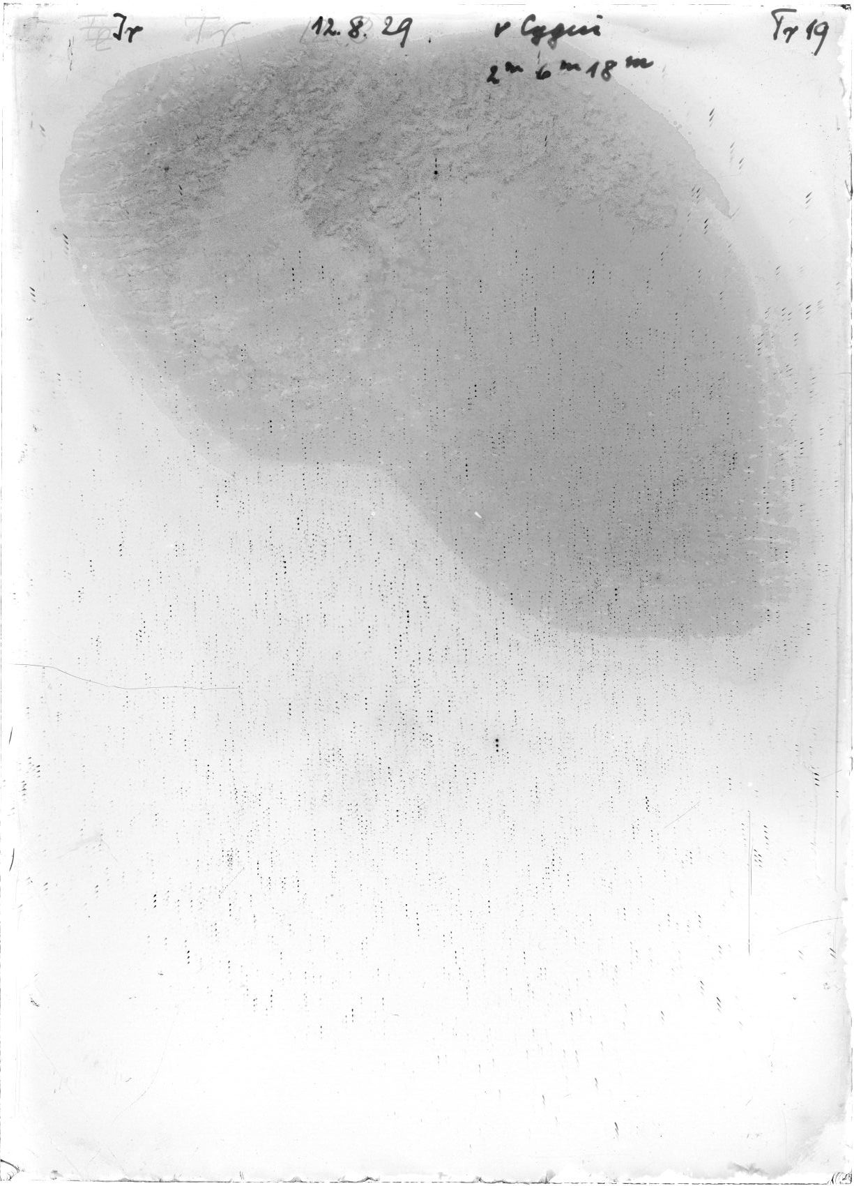 Scan GRTr019V