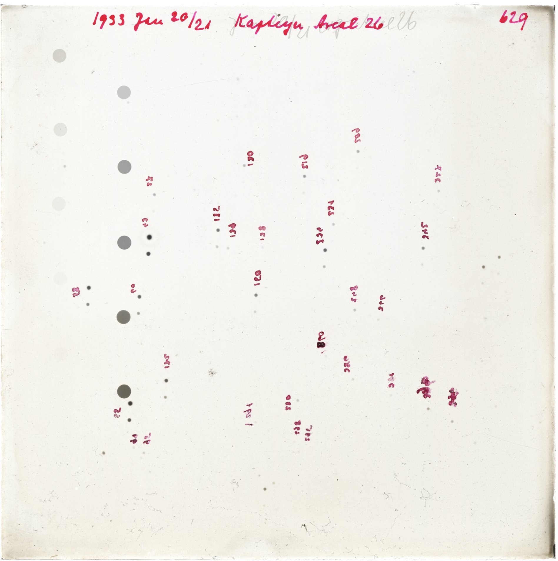 Scan GR00629