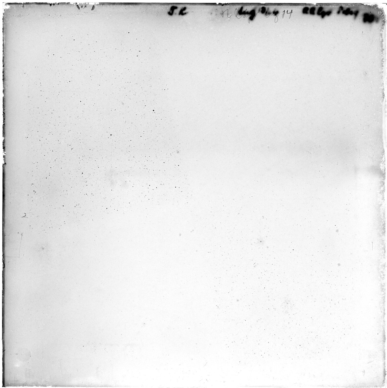 Scan GR00781