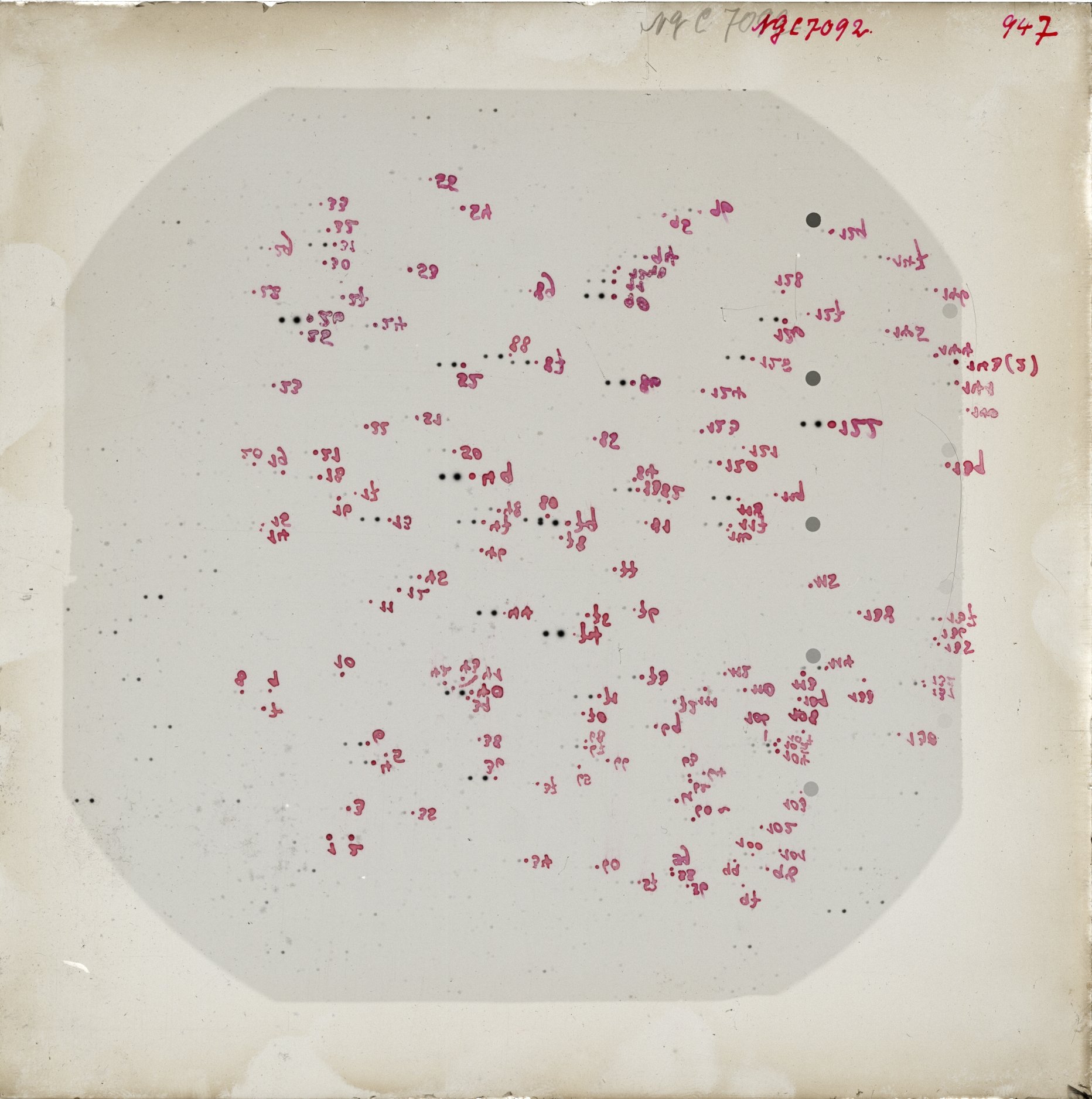 Scan GR00947