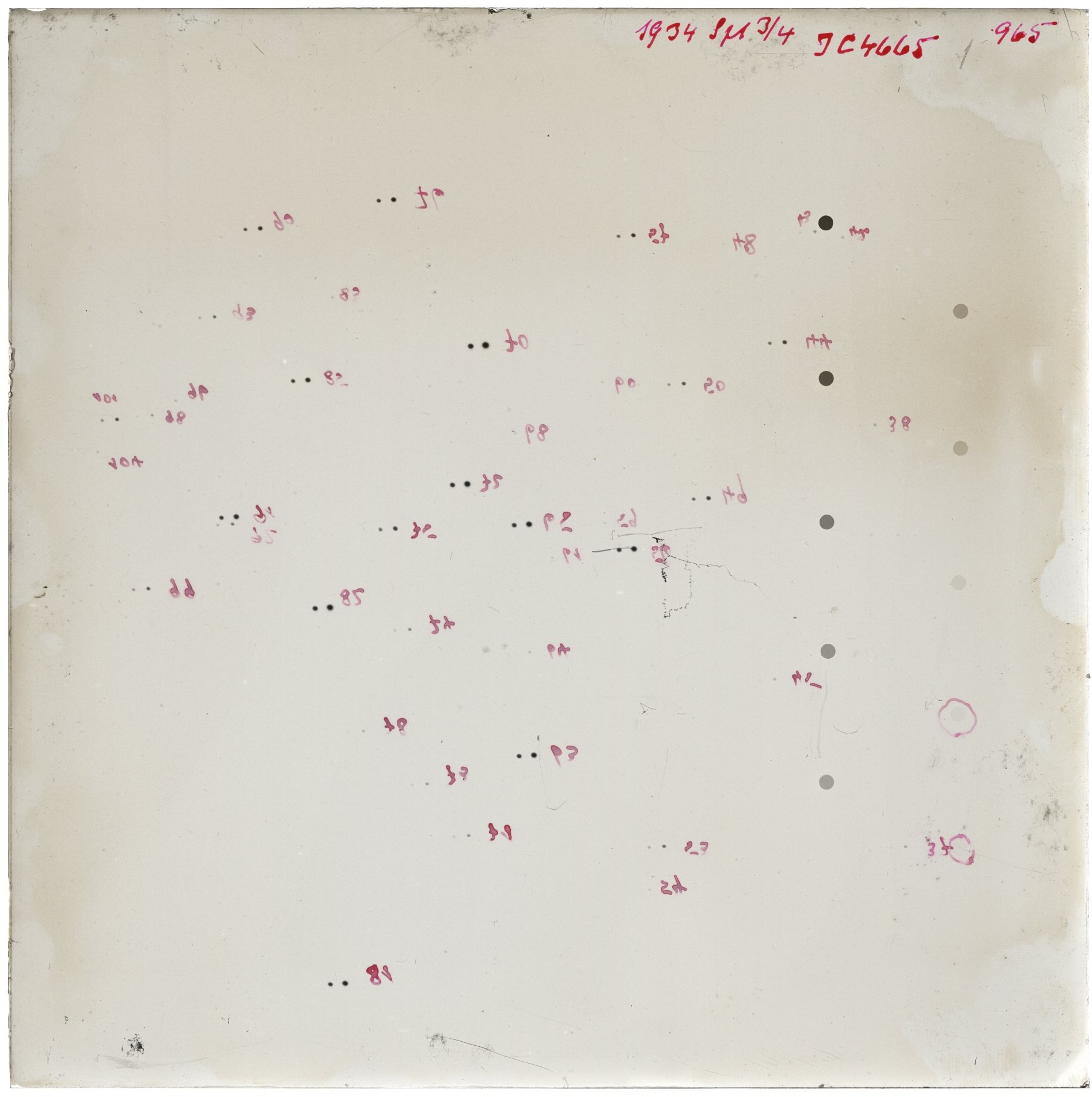 Scan GR00965