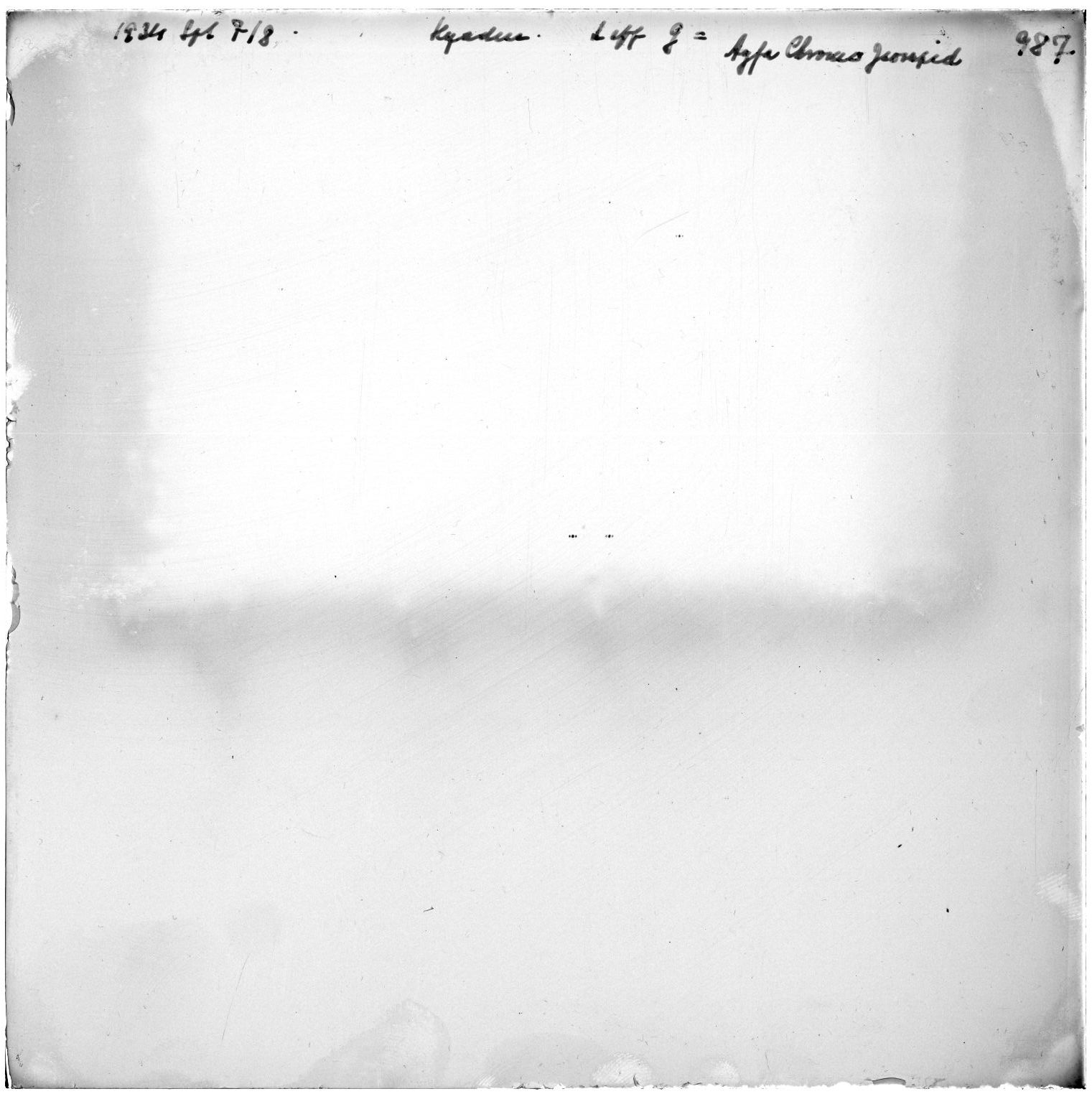 Scan GR00987