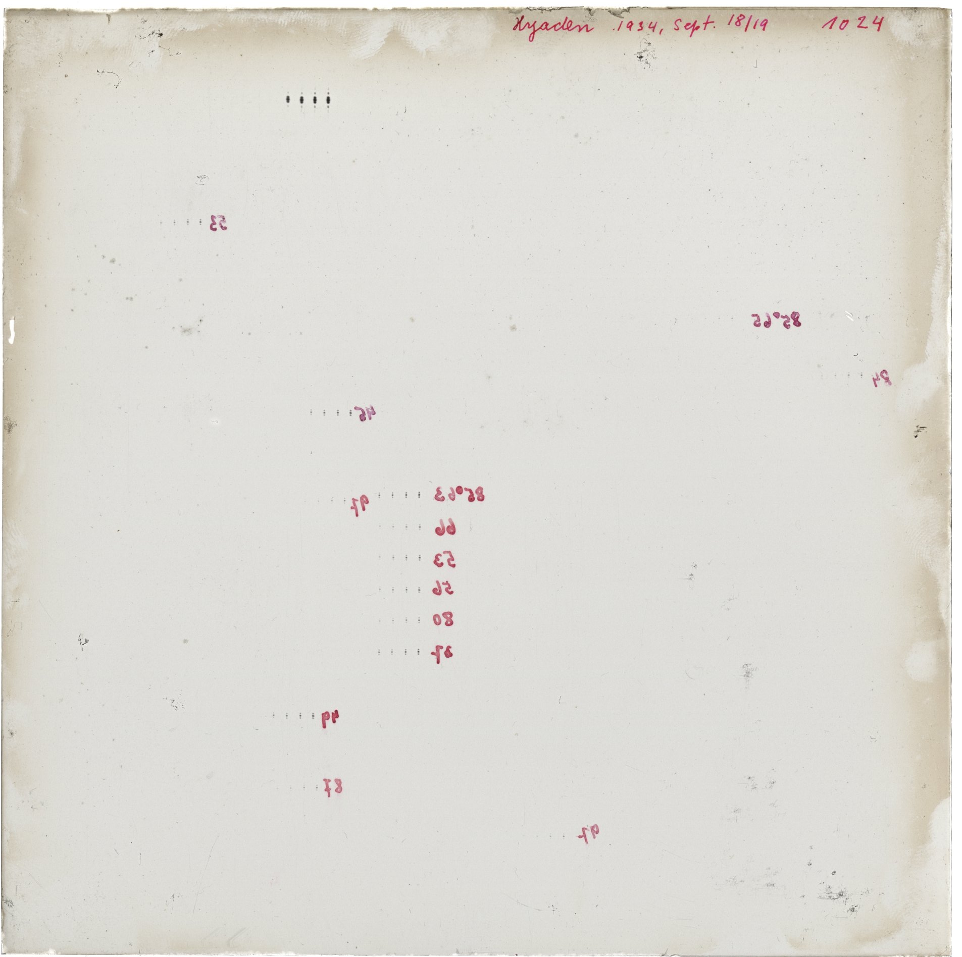Scan GR01024
